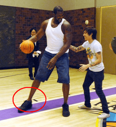 拜仁德甲13轮净胜球+40五大联赛第一，比第二名巴萨多了15球（德甲13轮后拜仁净胜球达+40，领跑五大联赛，较次席巴萨多15球）